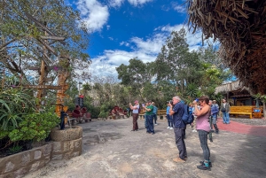 Quito in un giorno: Mitad del Mundo, funivia, centro storico