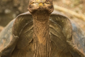 Galapagos: 5-dages tur i hjertet af øgruppen