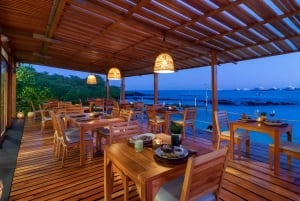 Галапагосские острова: рождественский ужин с живой музыкой