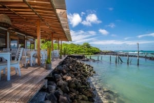 Галапагосские острова: рождественский ужин с живой музыкой