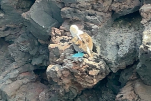 Galapagos Discovery Diving ONE-DAY EXPERIENCE