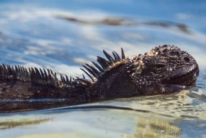 Excursão de 1 dia a Galápagos San Cristobal 360
