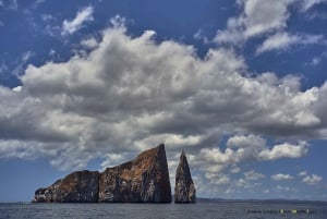 Galapagossaarten koko päivän 360 Tour
