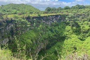 Galápagos: tortugas gigantes, túneles de lava y cráteres