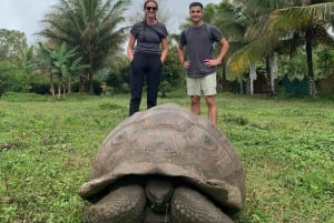 Galápagos: tortugas gigantes, túneles de lava y cráteres