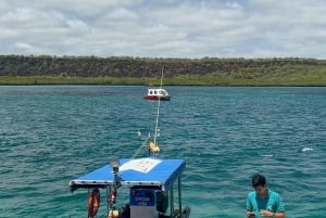 Galapagos GPS lufthavnstransport og udflugter med højdepunkter