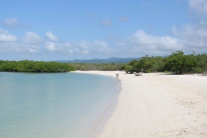 Galapagos Highlights Tour: Santa Cruz in 4 Days