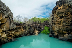 Galapagos Highlights Tour: Santa Cruz in 4 Days