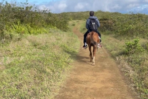 Hesteridning på Galápagos på Sierra Negra-vulkanens åsrygger