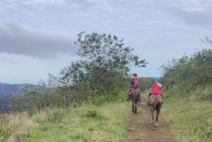 Hesteridning på Galápagos på Sierra Negra-vulkanens åsrygger