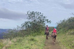 Galapagos Reiten auf den Kämmen des Vulkans Sierra Negra