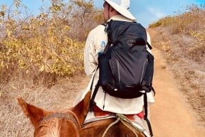 Cavalgando em Galápagos pelos cumes do vulcão Sierra Negra
