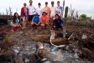 Galapagos Intensive 5 days, land base (3 Islands)