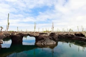 Galapagos Intensive 5 days, land base (3 Islands)