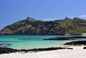 Galápagos: Isla Plaza Sur Full-Day Tour
