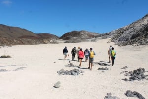 GALÁPAGOS: viaggio da un'isola all'altra, Quito inclusa, 12 giorni
