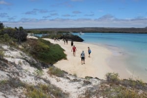 GALÁPAGOS: viaggio da un'isola all'altra, Quito inclusa, 12 giorni