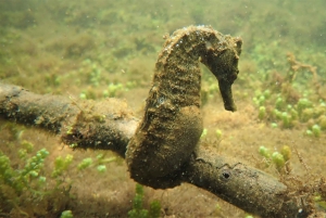 GALÁPAGOS: viaggio da un'isola all'altra, Quito inclusa, 12 giorni