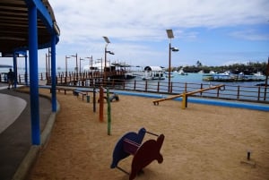 Galapagos ö; naturtur