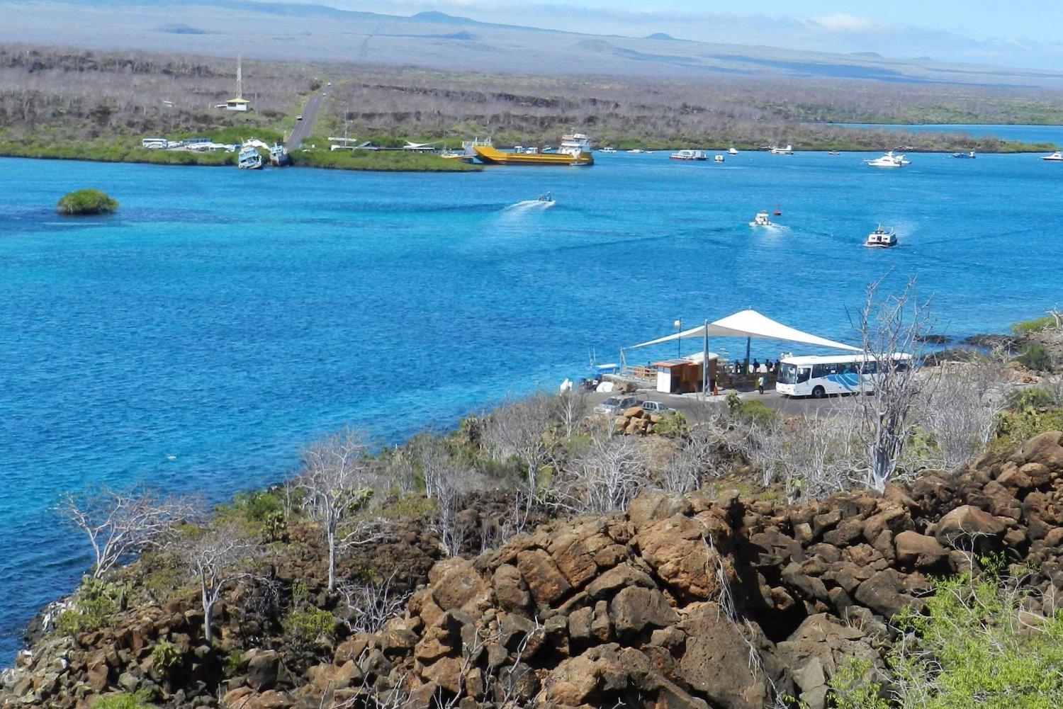 Galapagos Islands - Santa Cruz - 4 days all inclusive