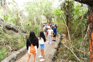 Isole Galapagos - Santa Cruz - 4 giorni all inclusive