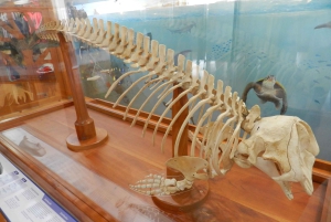 Galapagosöarna - Santa Cruz - 4 dagar all inclusive