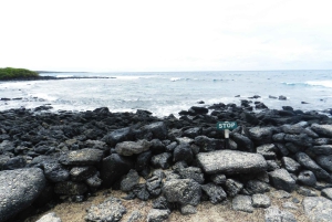 Galapagosöarna - Santa Cruz - 4 dagar all inclusive