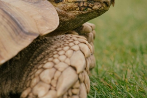 Galapagosöarna - Santa Cruz - 4 dagar all inclusive