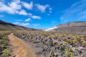 Galápagos : circuit haut de gamme 4 jours/3 nuits
