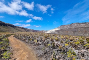 Галапагосские острова: роскошь и природа, тур премиум-класса 4 дня/3 ночи