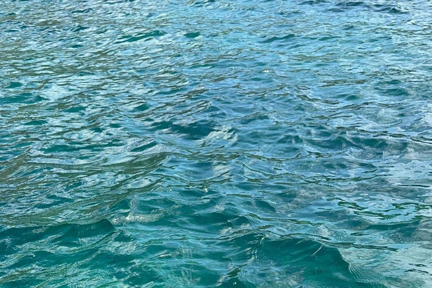 Galapagos Pinzon Private Yacht Day Tour