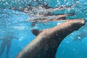 Galapagos Pinzon Private Yacht Day Tour