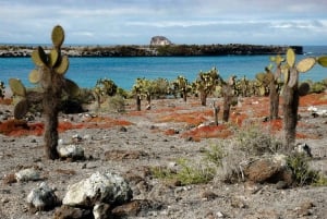 Galapagos: Puerto Ayora Guided Yacht Tour and Snorkeling