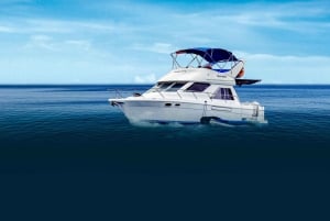 Galapagos: Puerto Ayora Guided Yacht Tour and Snorkeling