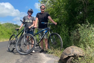 Galapagos: Ruten på cykel, Tortoise Bike Rute