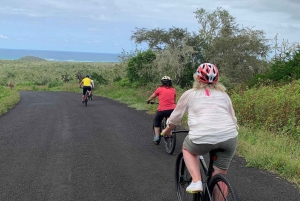 Galapagos: trasa rowerowa, rajd rowerowy żółwi