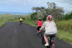 Galapagos: Route mit dem Fahrrad, Tortoise Bike Rute