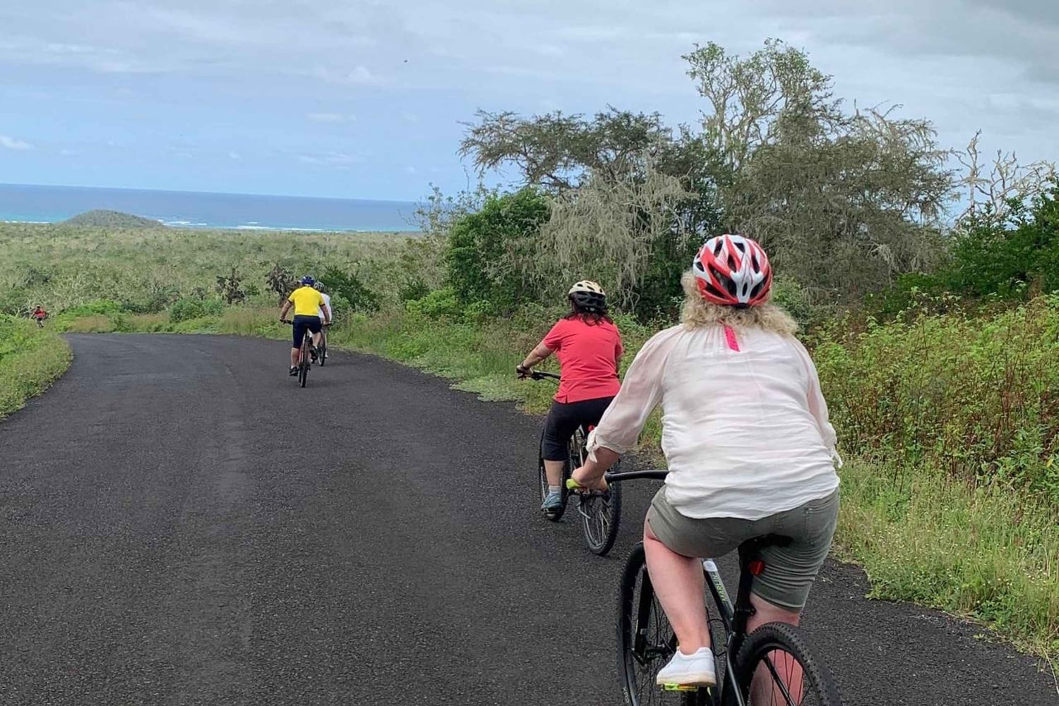 غالاباغوس، روتا إن بالدراجة الإلكترونية + تورتوغاس جيجانتس ولافا تونيلس