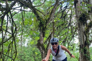 Galápagos, Ruta en E-Bike + tortugas Gigantes y Lava Tuneles