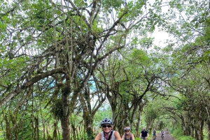 Galápagos, Ruta en E-Bike + tortugas Gigantes y Lava Tuneles