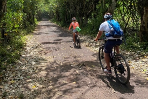 Galápagos, Ruta en E-Bike + tortugas Gigantes y Lava Tuneles