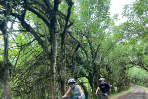 Galápagos, Ruta en E-Bike + tortugas Gigantes y Lava Tuneles
