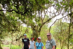 Galápagos, Ruta en E-Bike + tortugas Gigantes y Lava Tuneles