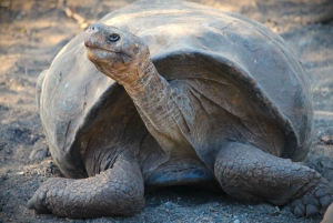 Galapagos: San Cristobal Island 4-tägige Tour