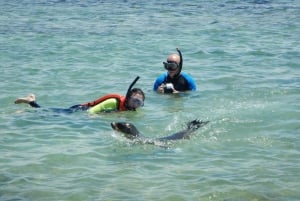Galapagos: San Cristobal Island 4-tägige Tour