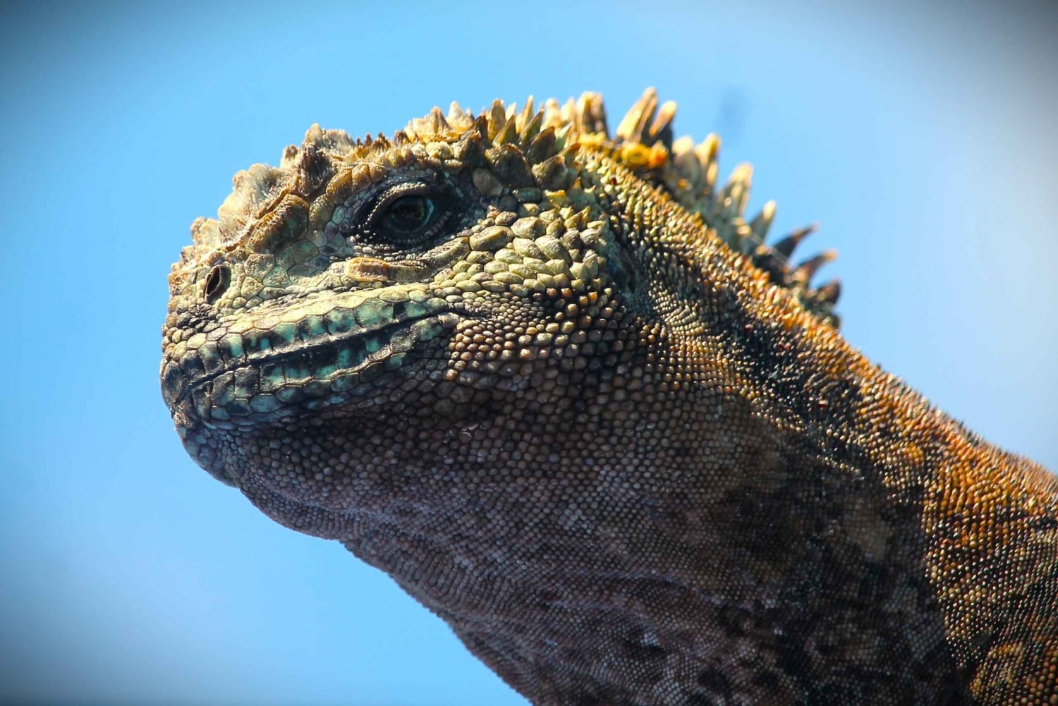 Galapagos: 4-dagars rundtur på ön San Cristobal