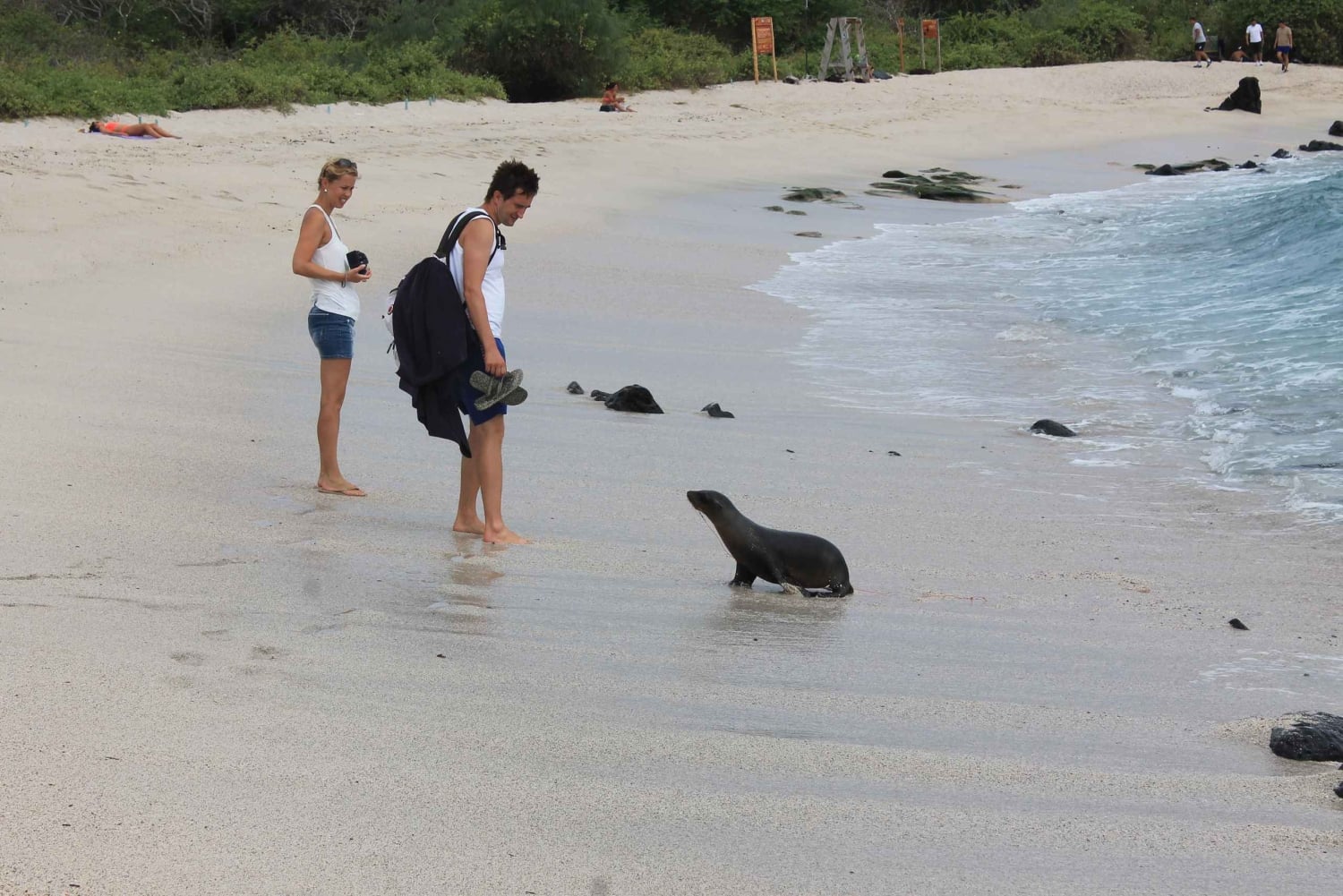 Galapagos: 4-dagars rundtur på ön San Cristobal