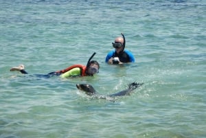 Galapagos: 4-dagars rundtur på ön San Cristobal