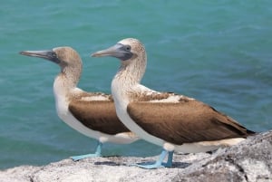 Galapagos: 4-dagars rundtur på ön San Cristobal