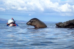 Galápagos: fietstocht op het eiland San Cristóbal met een duik